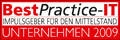 BestPractice-IT Unternehmen 2009