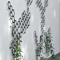 Trellis Spalier