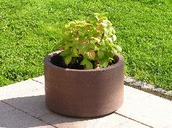 hanit� Blumenk�bel SABINE [ Recycling-Kunststoff ]